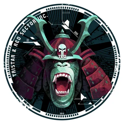 image of the Sticker graphic TRSi Evoke Sticker 2019